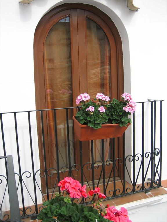 Pension Oliva Exterior photo